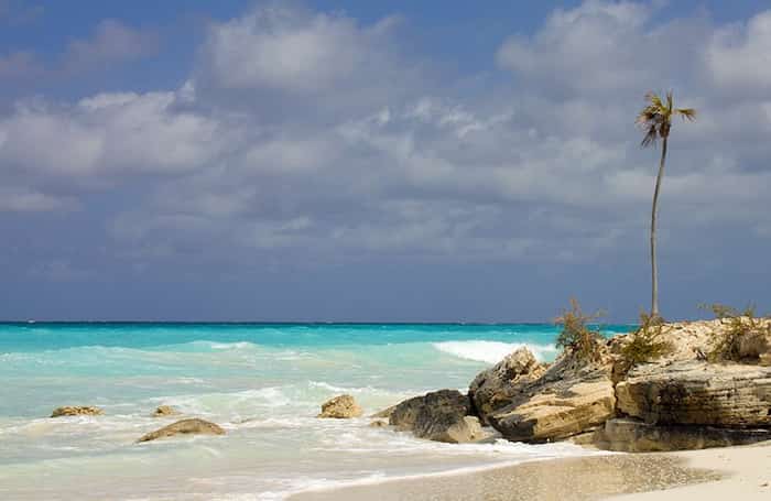 Cayo Salado - atracciones turísticas en las Islas Turcas y Caicos