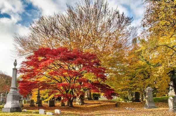 Cementerio Green-Wood