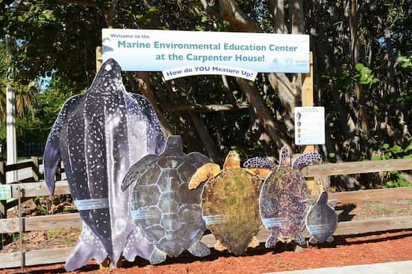 Centro de Educación Ambiental Marina
