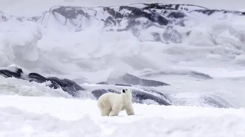 Churchill, Manitoba