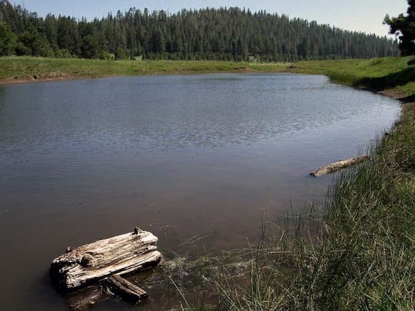 Circuito de colinas del lago seco-Caminatas en Flagstaff