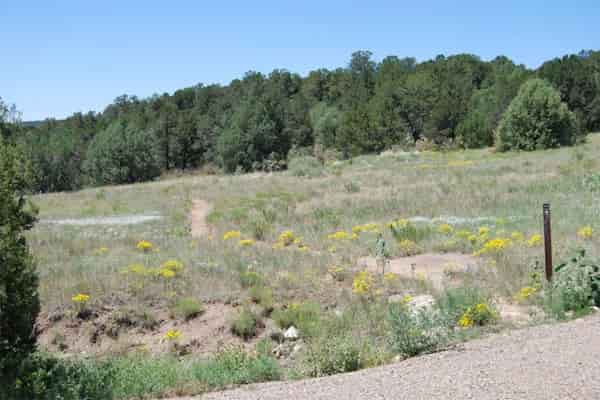 Circuito de senderos este y oeste de Sabino Canyon