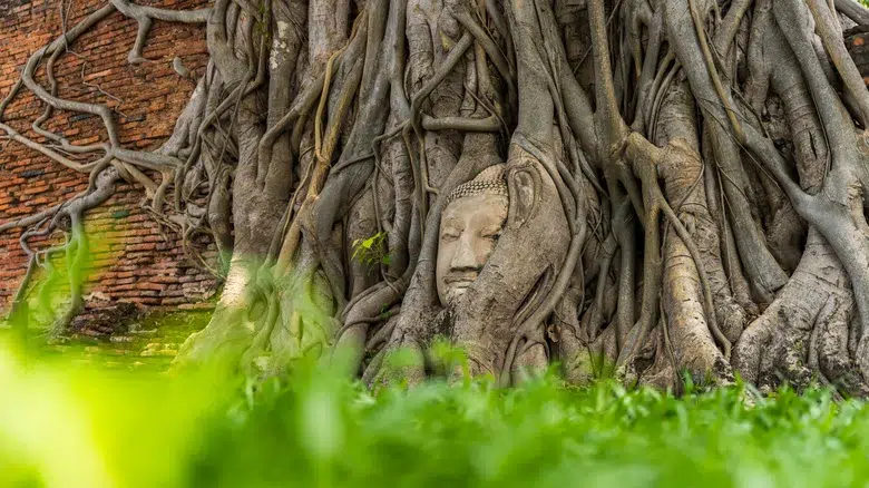 Ciudad histórica de Ayutthaya
