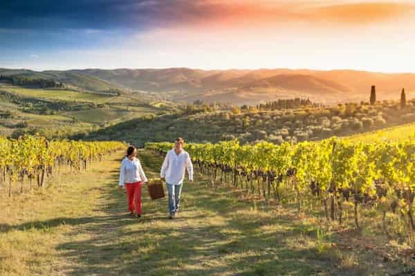 Condados de Napa y Sonoma