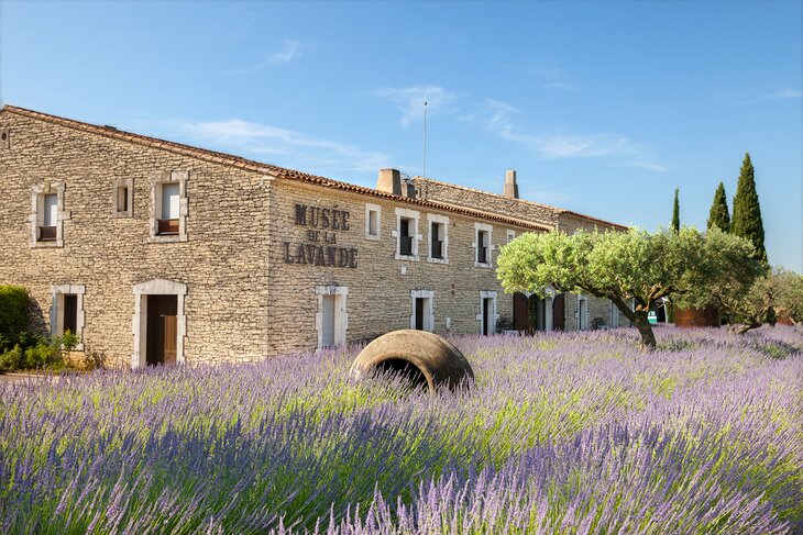 Coustelet