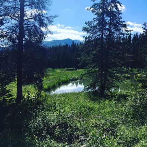 Cucumber Gulch-Caminatas cerca de Breckenridge