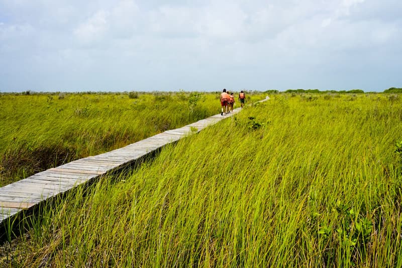 Da un paseo por la naturaleza-riviera maya