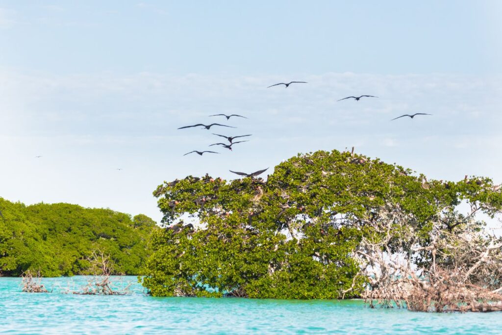 Datos curiosos sobre la Reserva de la Biosfera de Sian Ka'an