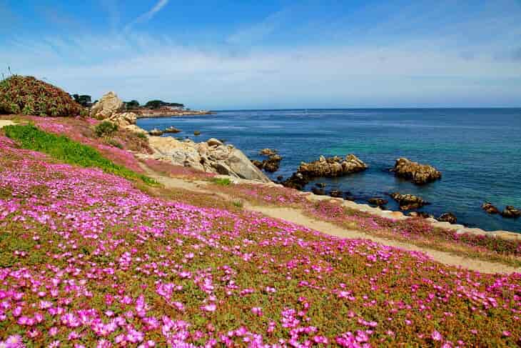 De San Francisco a Monterey en coche