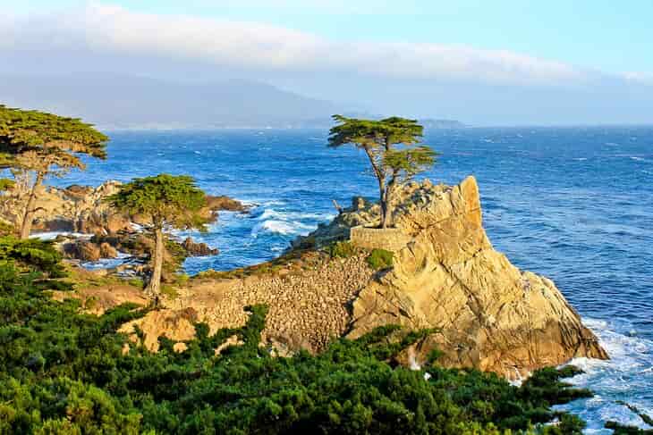 De San Francisco a Monterey en tour organizado
