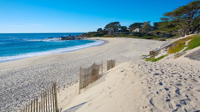 Descubre La Costa