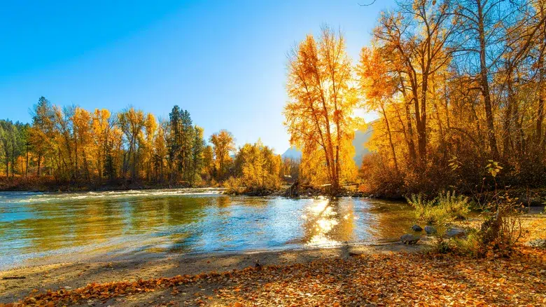 Descubre impresionantes paisajes otoñales en Leavenworth
