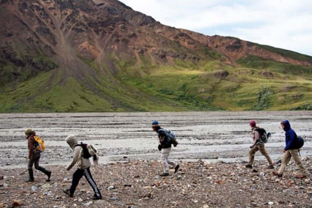 Descubriendo la grandeza del Parque Nacional Denali