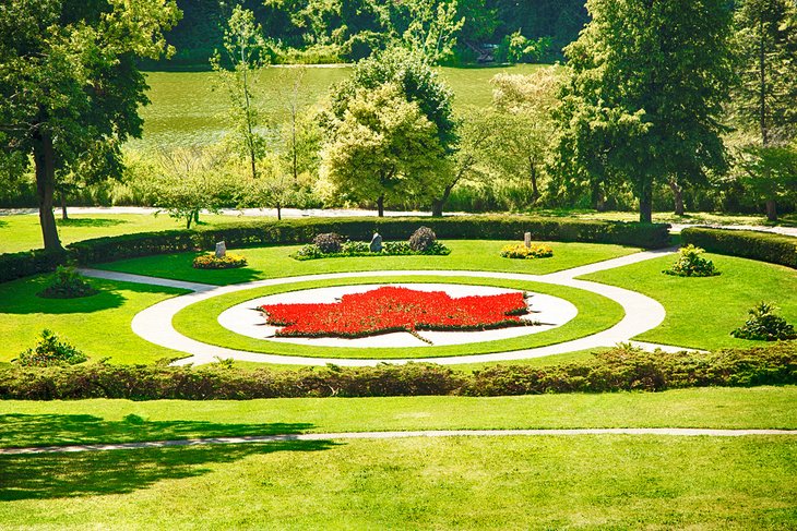 Disfruta de la naturaleza en High Park
