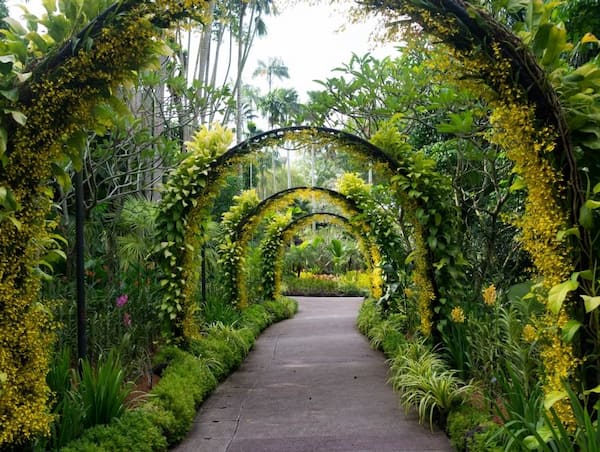 Disfruta del Jardín Nacional de Orquídeas 1.1