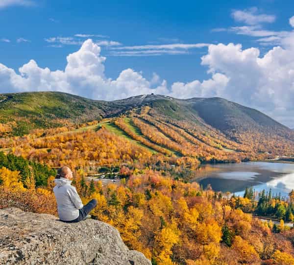 Disfruta del panorama en Artist Bluff