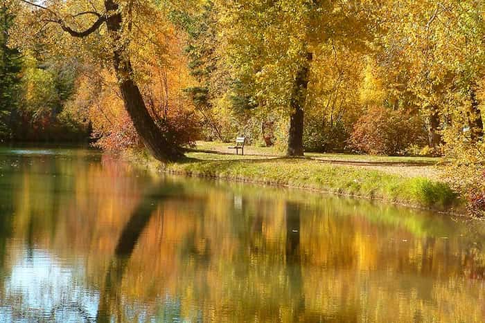 Disfrute de las estaciones en Bowness Park