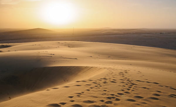 Diviértete en el desierto