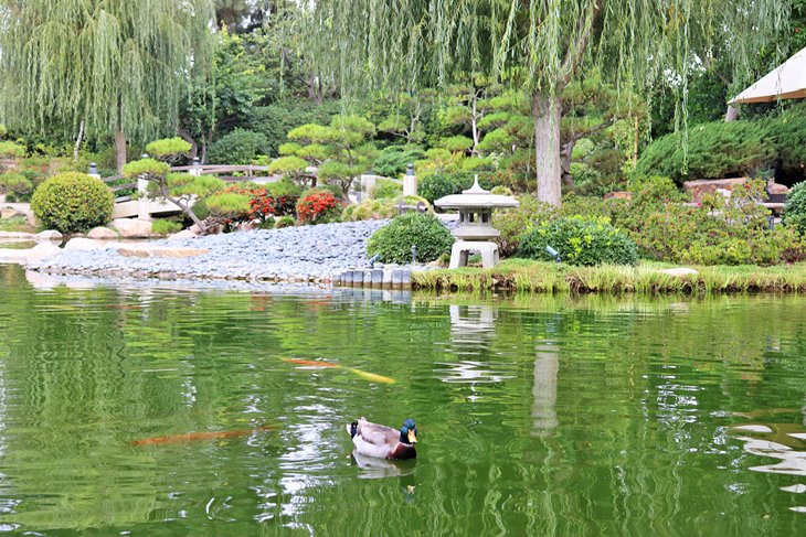 Jardín japonés Earl Burns Miller