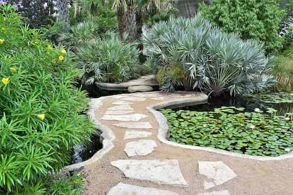 Echa un vistazo al Jardín Botánico