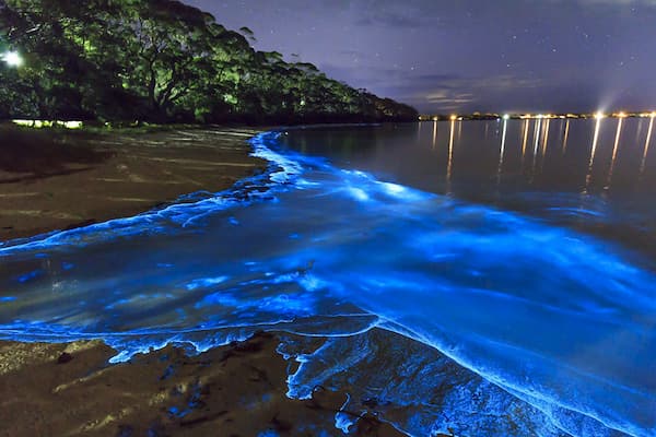 El Clima de la Isla de Vadhoo