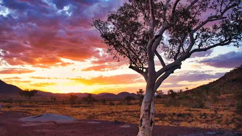 El Pilbara
