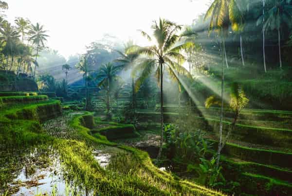 El clima de Ubud es cálido todo el año