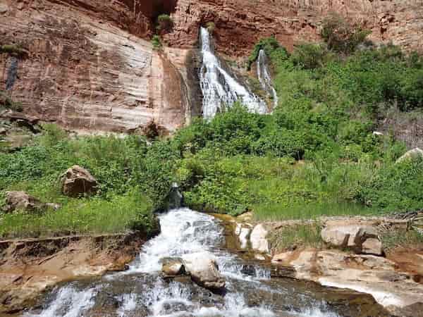 El paraíso de Vasey