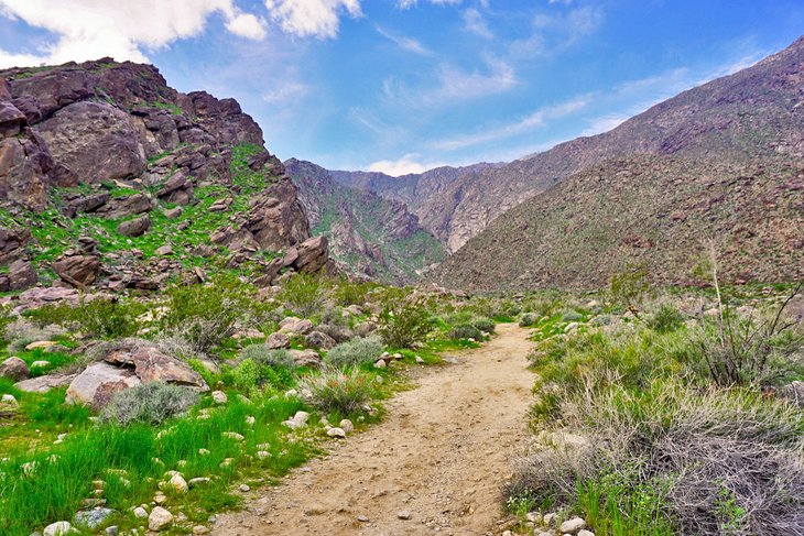 El sendero del cañón Tahquitz