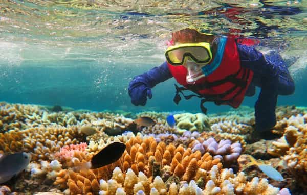 El tiempo es esencial en la Gran Barrera de Coral