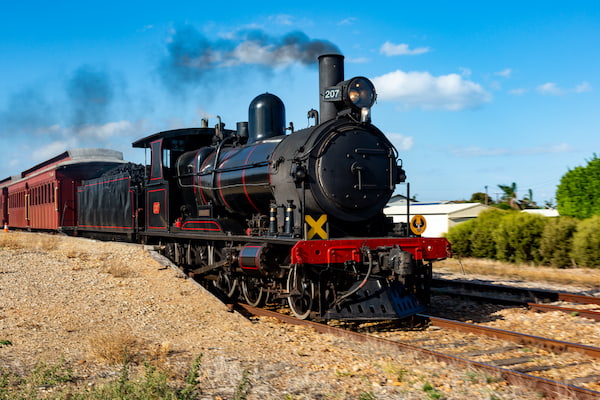 El tren del berberecho 8