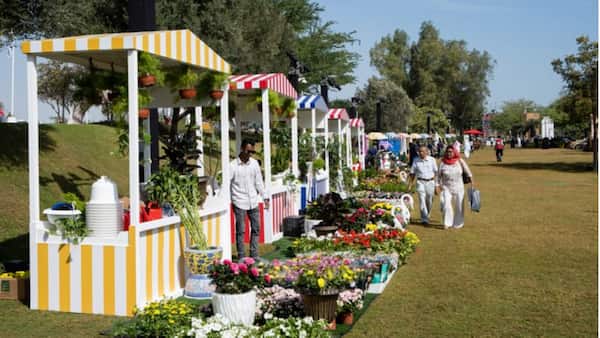 Eventos en Katara Cultural Village, Qatar