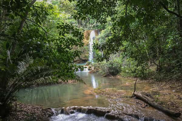 Excursión a la cascada de El Limón