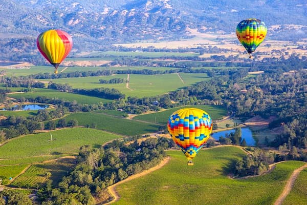 Excursión de un día al valle de Napa