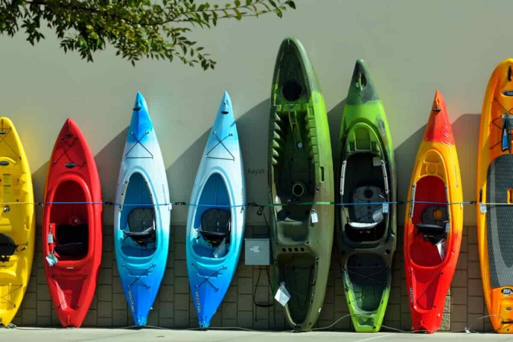 Excursiones guiadas en kayak y canoa