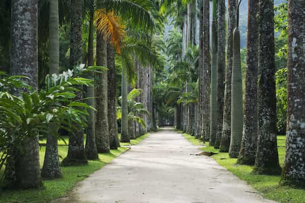 Explora el Jardín Botánico