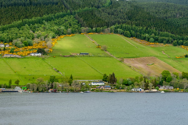 Explora el pueblo de Drumnadrochit