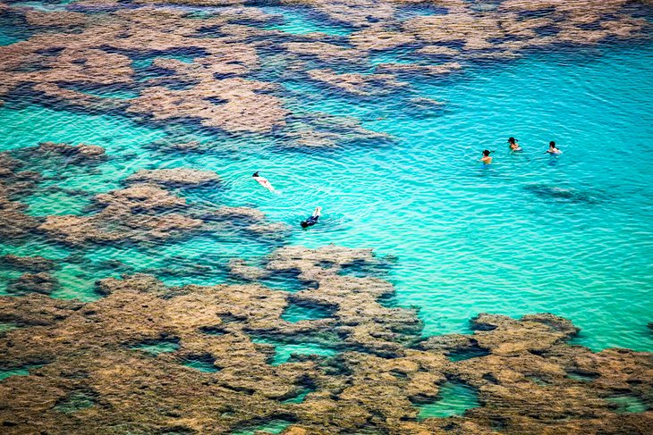 Explora los arrecifes de coral: snorkel y buceo
