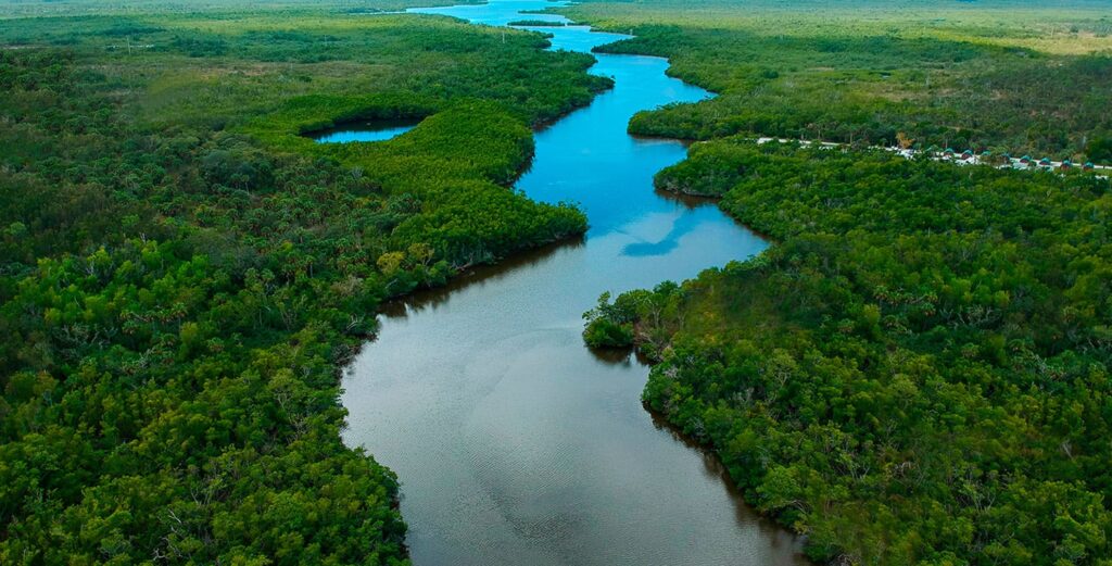 Explore la Reserva Nacional de Investigación Estuarina de Rookery Bay- Razones para visitar Marco Island Florida