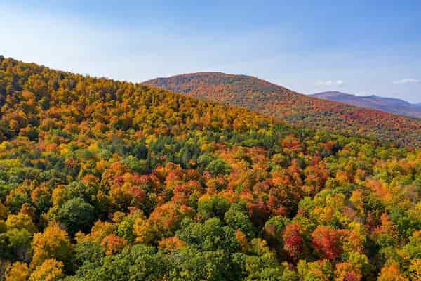 Five State Lookout-Follaje de Otoño en Catskills