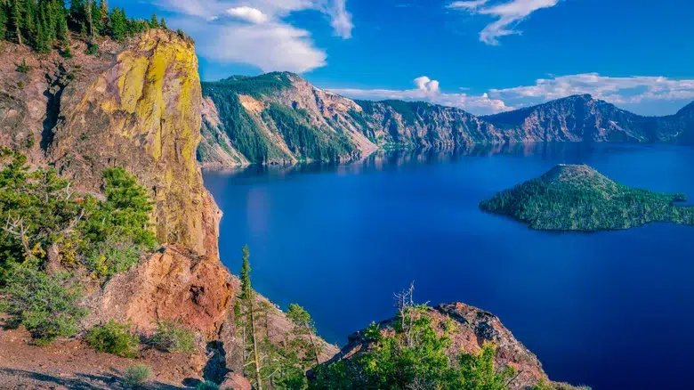 Flores silvestres en el Parque Nacional del Lago del Cráter