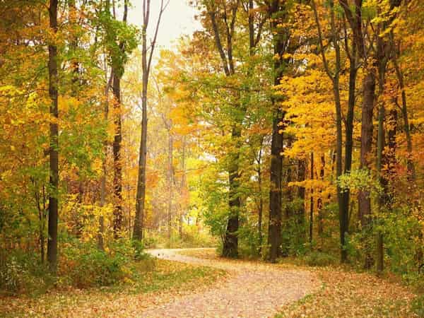 Ginebra en el lago, Ohio-Viajes por Carretera desde Cleveland