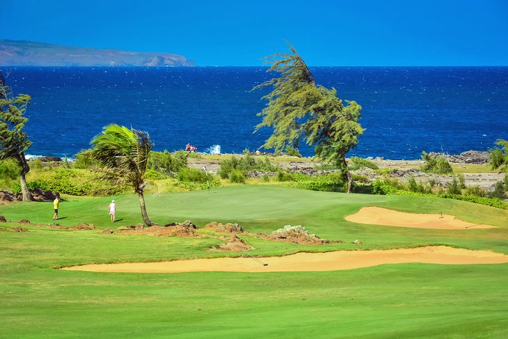 Golf en el paraíso
