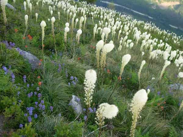 Granite Mountain-caminatas en el desierto de Alpine Lakes
