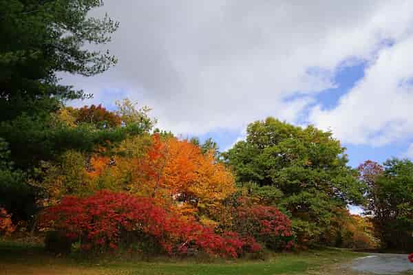 Great Lakes Seaway Trail-Colores de Otoño en Nueva York