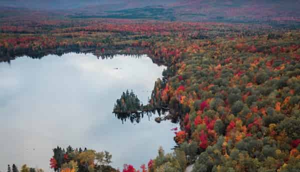 Great North Woods