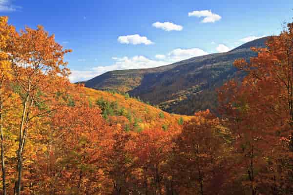 Hannacroix Creek Preserve