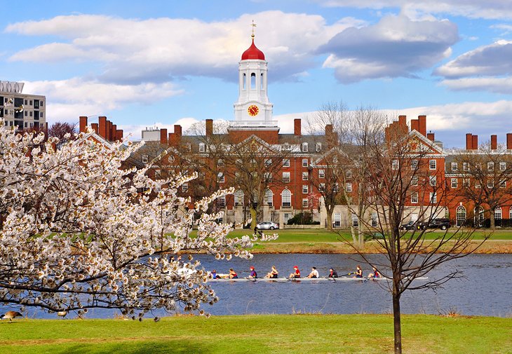 Harvard Square y los Museos de Arte de Harvard