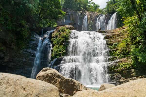 Hay exuberantes cascadas en la jungla cerca