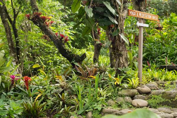 Hay un estudio de yoga de clase mundial en la calle principal-Visitar Dominical